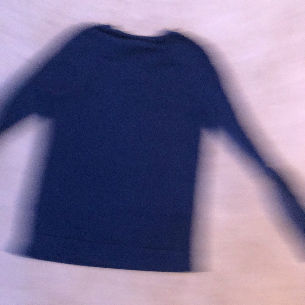 J Crew Sweater